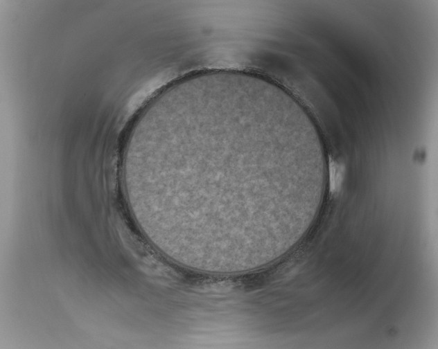 X0000112850675200909181737