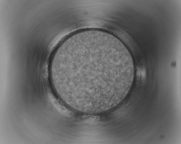 X0000112850676200909181737