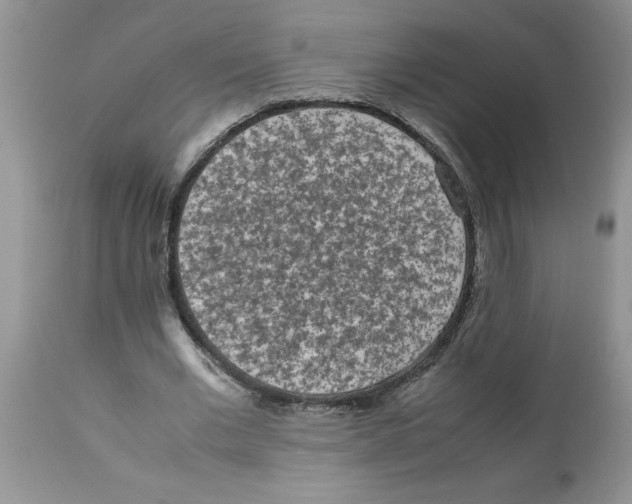 X0000112850677200909181737