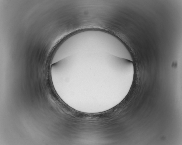 X0000112850680200909181737