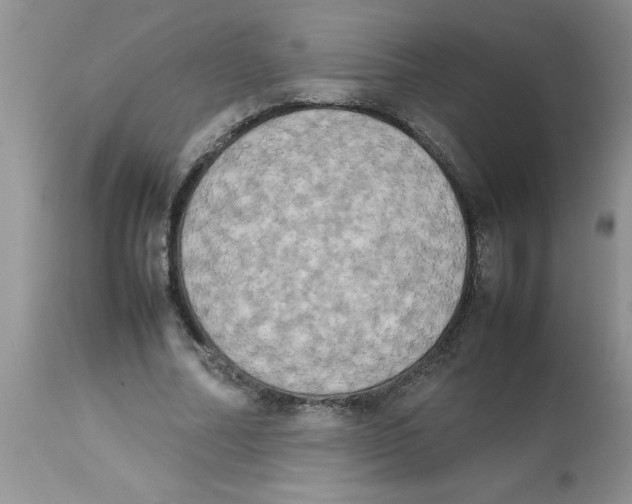 X0000112850682200909181737