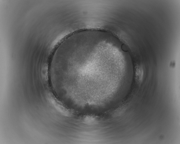 X0000112850684200909181737