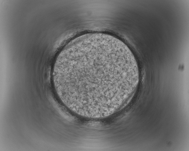 X0000112850685200909181737