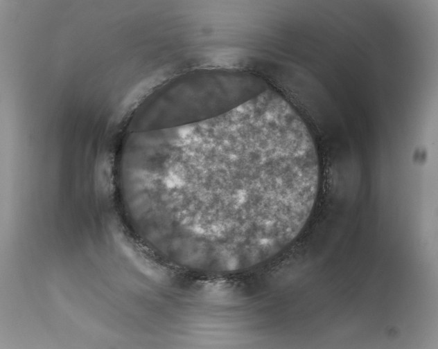 X0000112850688200909181737