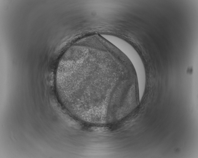 X0000112850689200909181737