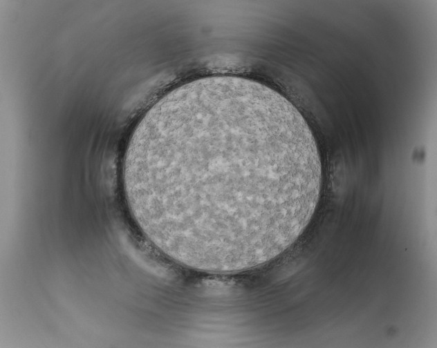 X0000112850690200909181737