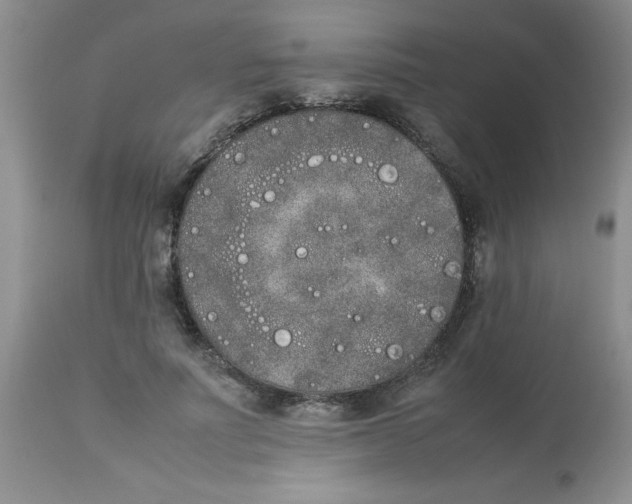 X0000112850691200909181737