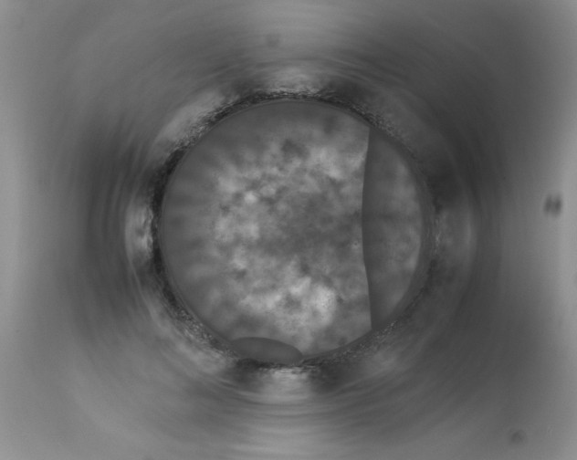 X0000112850692200909181737