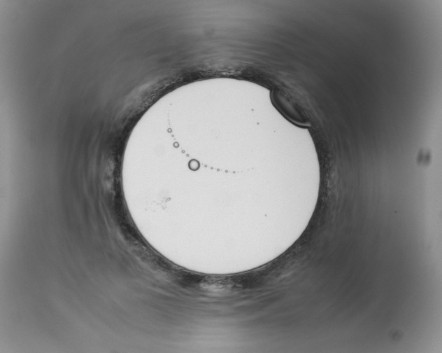 X0000112850693200909181736