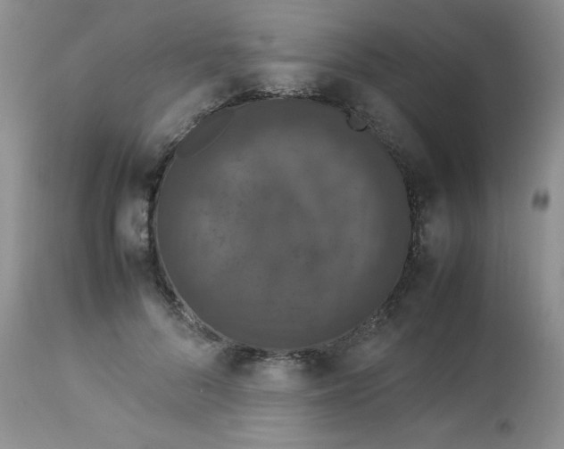 X0000112850696200909181736