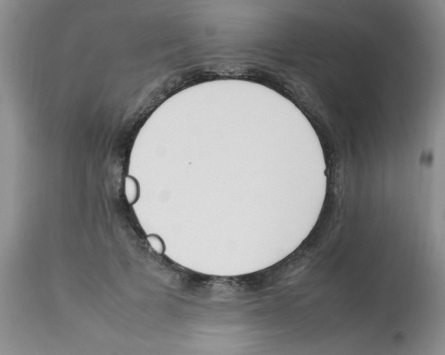 X0000112850697200909181736