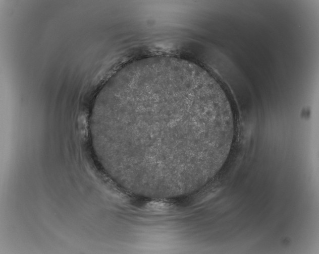 X0000112850699200909181736