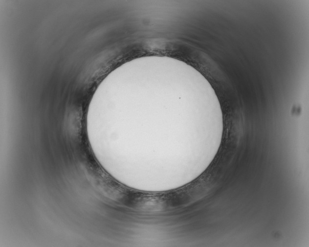 X0000112850702200909181736