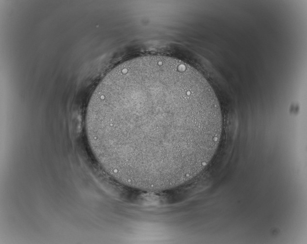 X0000112850703200909181736