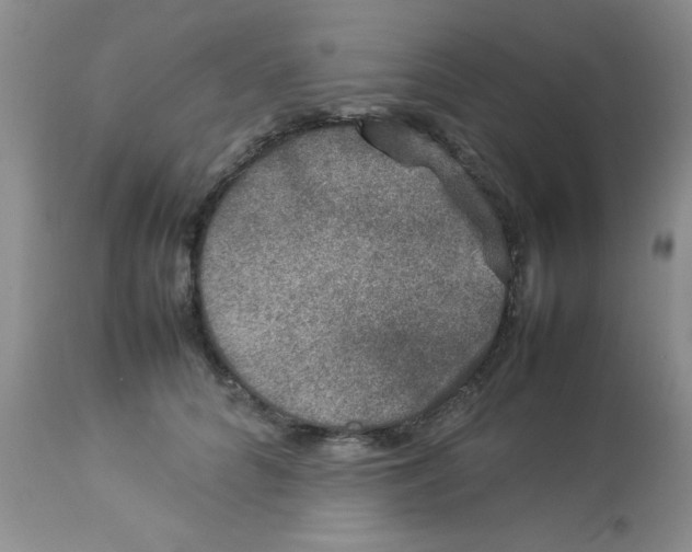 X0000112850704200909181736