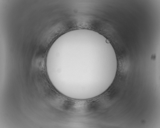 X0000112850705200909181736