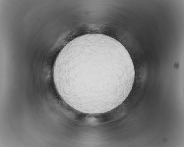 X0000112850706200909181736