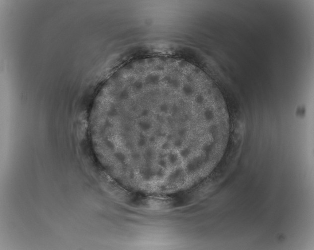 X0000112850707200909181736