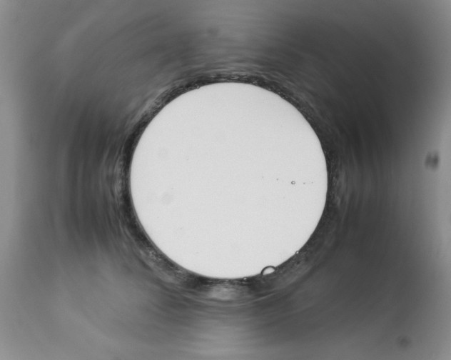 X0000112850708200909181736