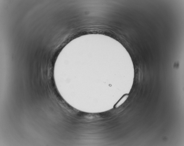 X0000112850712200909181736