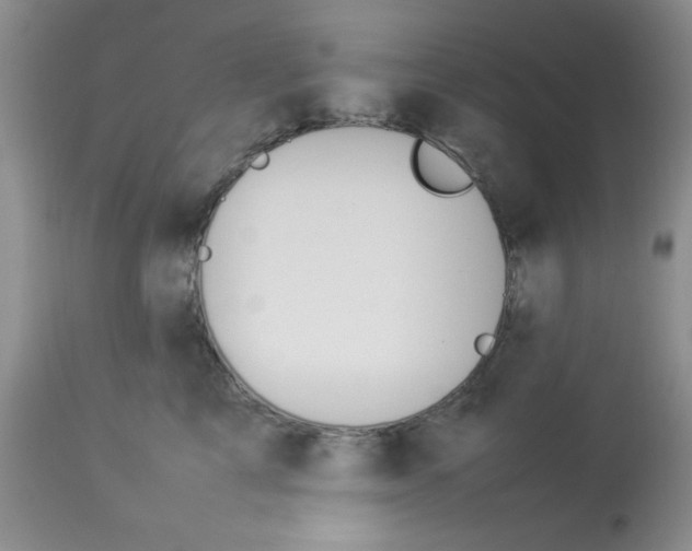 X0000112850713200909181736