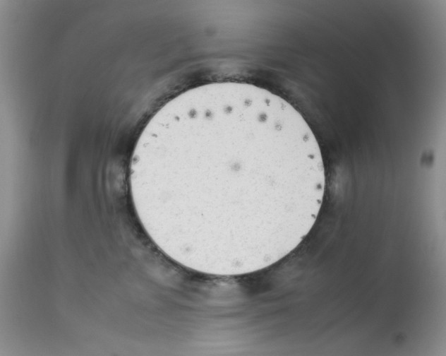 X0000112850715200909181736