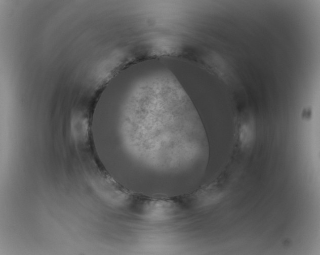 X0000112850716200909181736