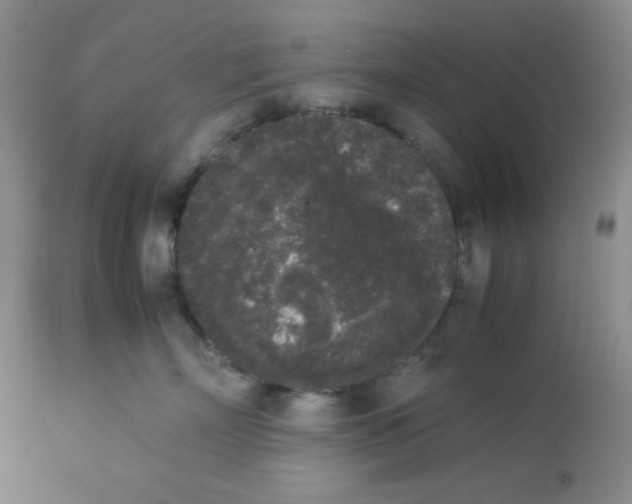 X0000112850718200909181736