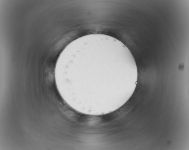 X0000112850719200909181736