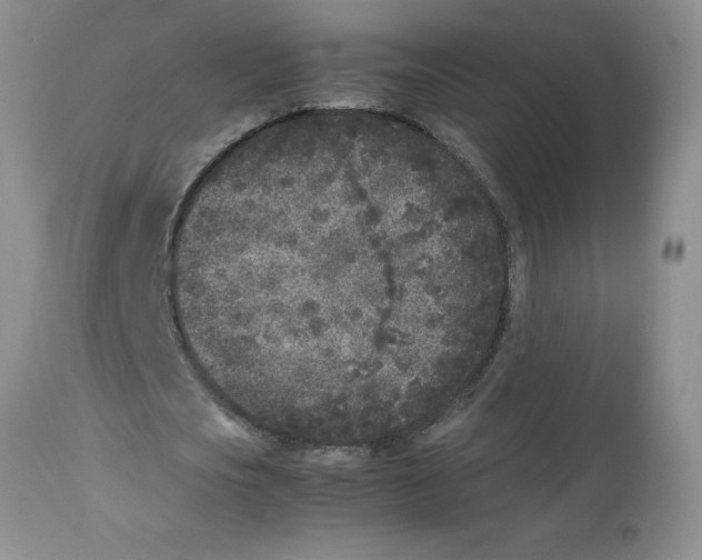 X0000112850721200909181735