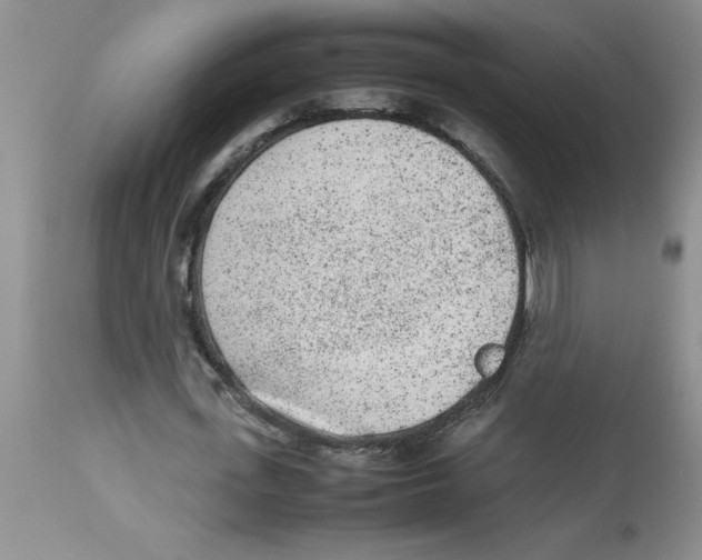 X0000112850723200909181735