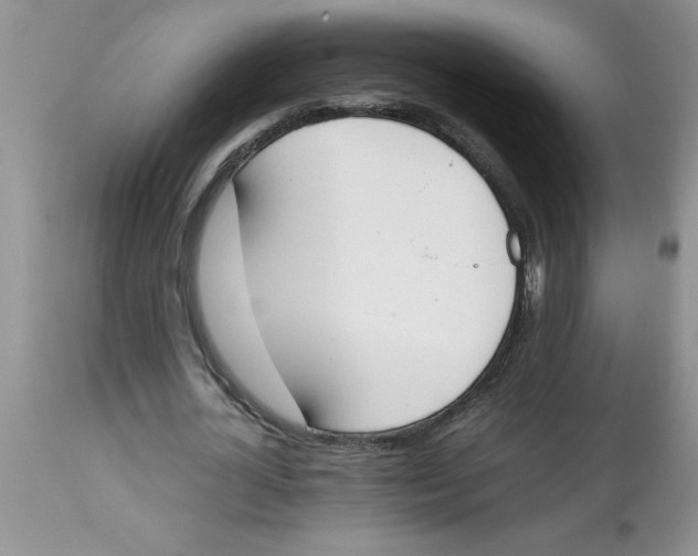 X0000112850724200909181735