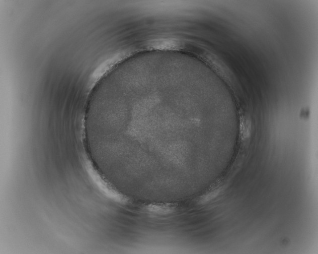 X0000112850725200909181735