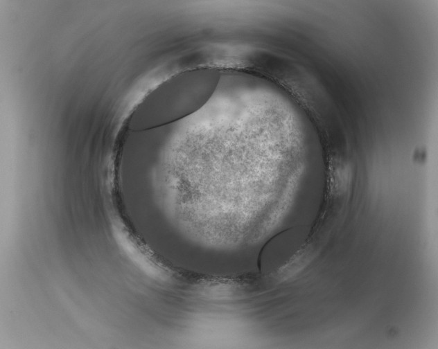 X0000112850726200909181735