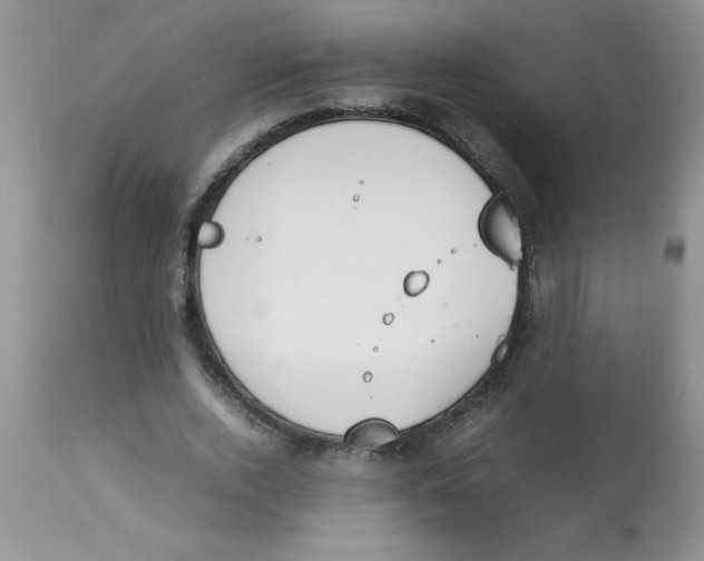 X0000112850728200909181735