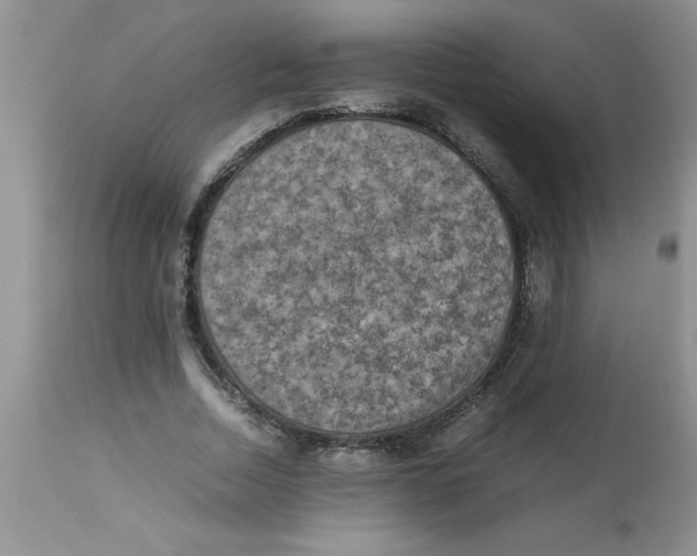 X0000112850730200909181735