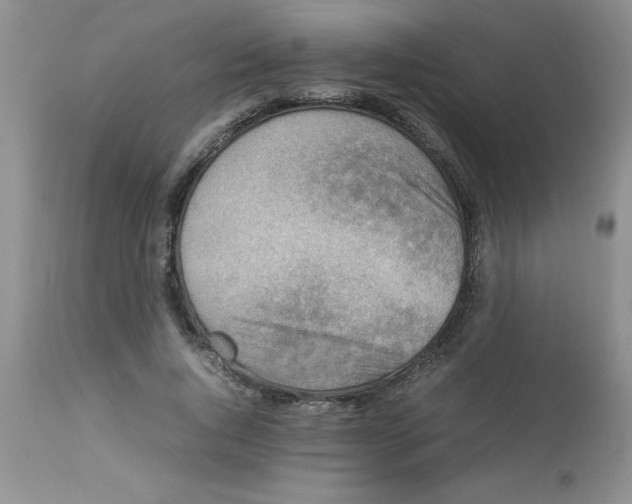 X0000112850736200909181735