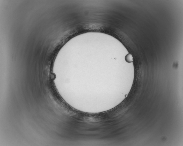 X0000112850739200909181736