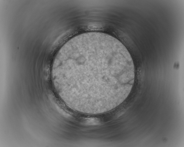 X0000112850741200909181736