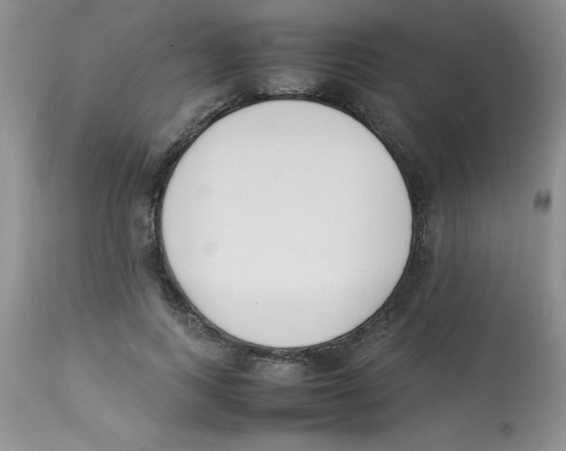 X0000112850743200909181736