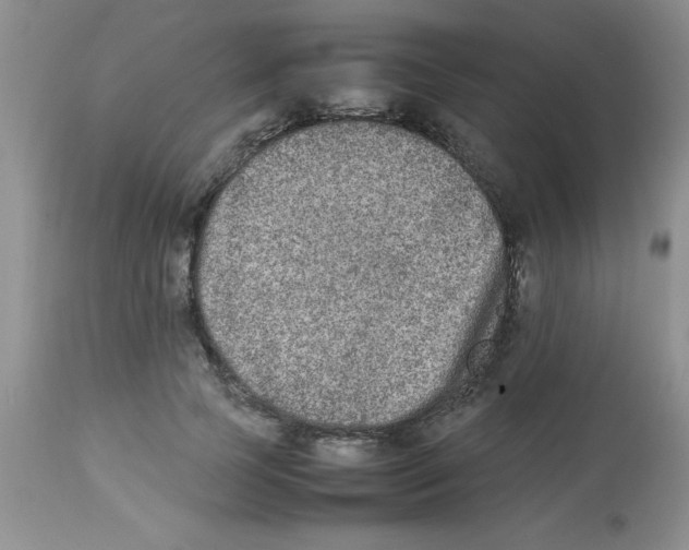 X0000112850745200909181736