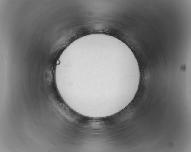 X0000112850746200909181736