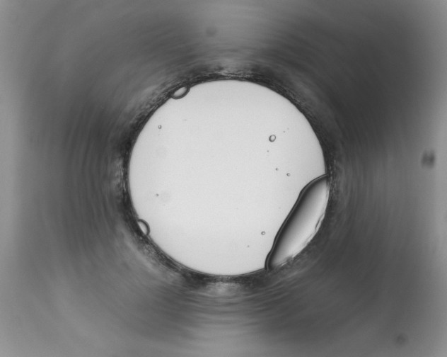 X0000112850748200909181736