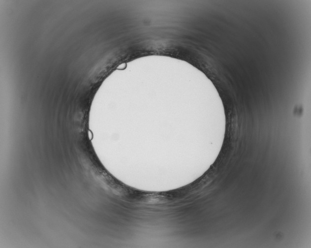 X0000112850750200909181736