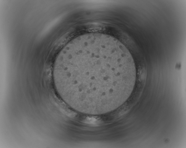 X0000112850753200909181736