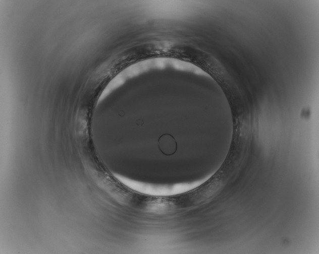 X0000112850754200909181736