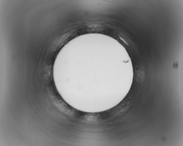 X0000112850756200909181736