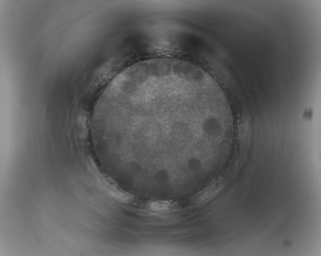 X0000112850757200909181736