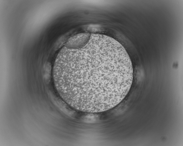 X0000112850760200909181736