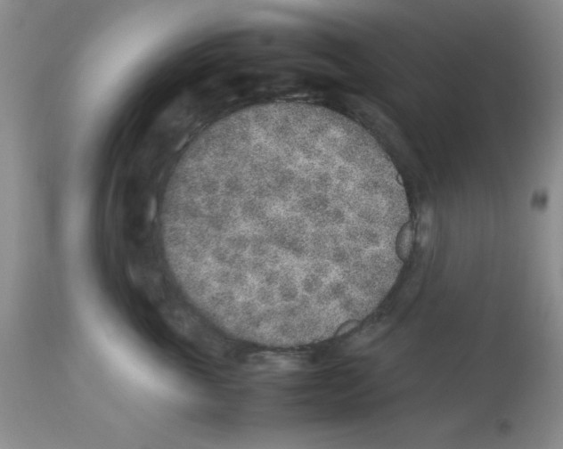 X0000112850763200909181736